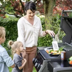 Barbecue Gaz Rogue 365 R 2 Brûleurs - NAPOLEON -Napo King Barbecue Magasin barbecue gaz rogue 365 serie r 2 bruleurs 2