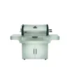 Barbecue Charbon De Bois Pro 605 Inox NAPOLEON -Napo King Barbecue Magasin barbecue inox pro 605 charbon napoleon